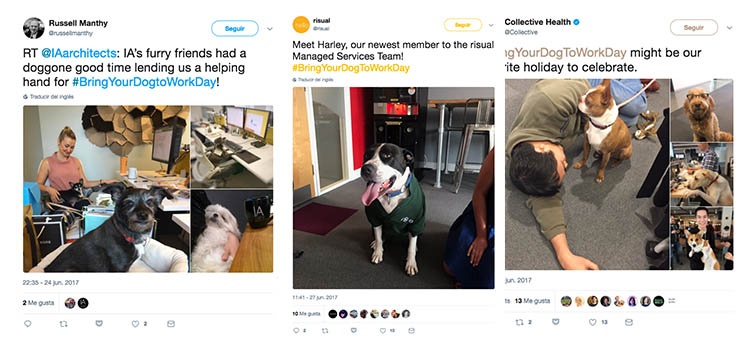 perros oficina ejemplo